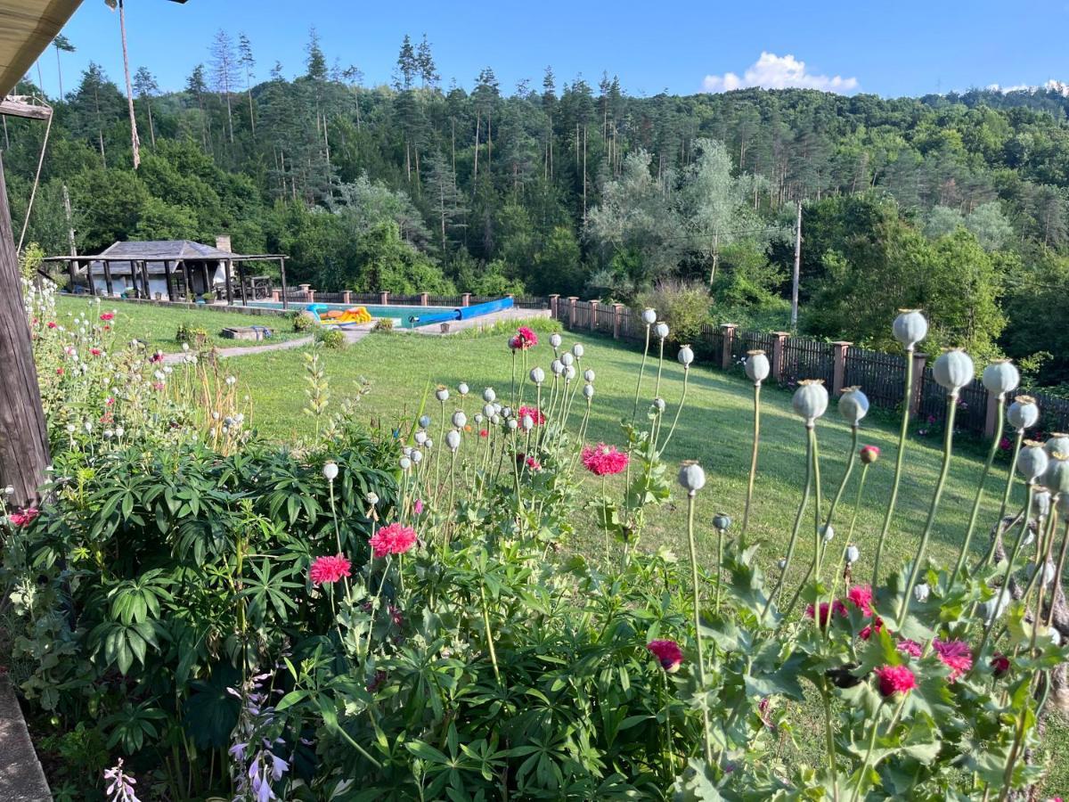 Agriturismo Hidden Paradise Βίλα Τριάβνα Εξωτερικό φωτογραφία