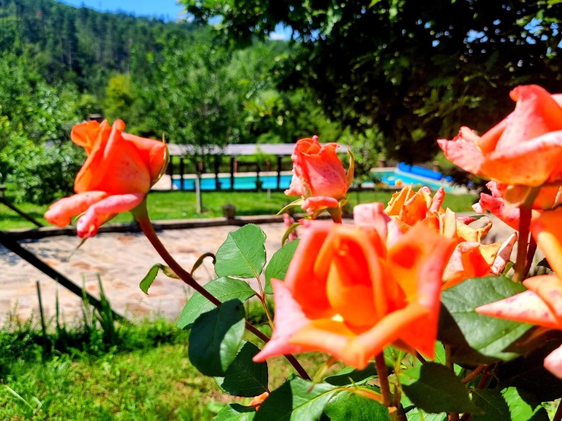Agriturismo Hidden Paradise Βίλα Τριάβνα Εξωτερικό φωτογραφία