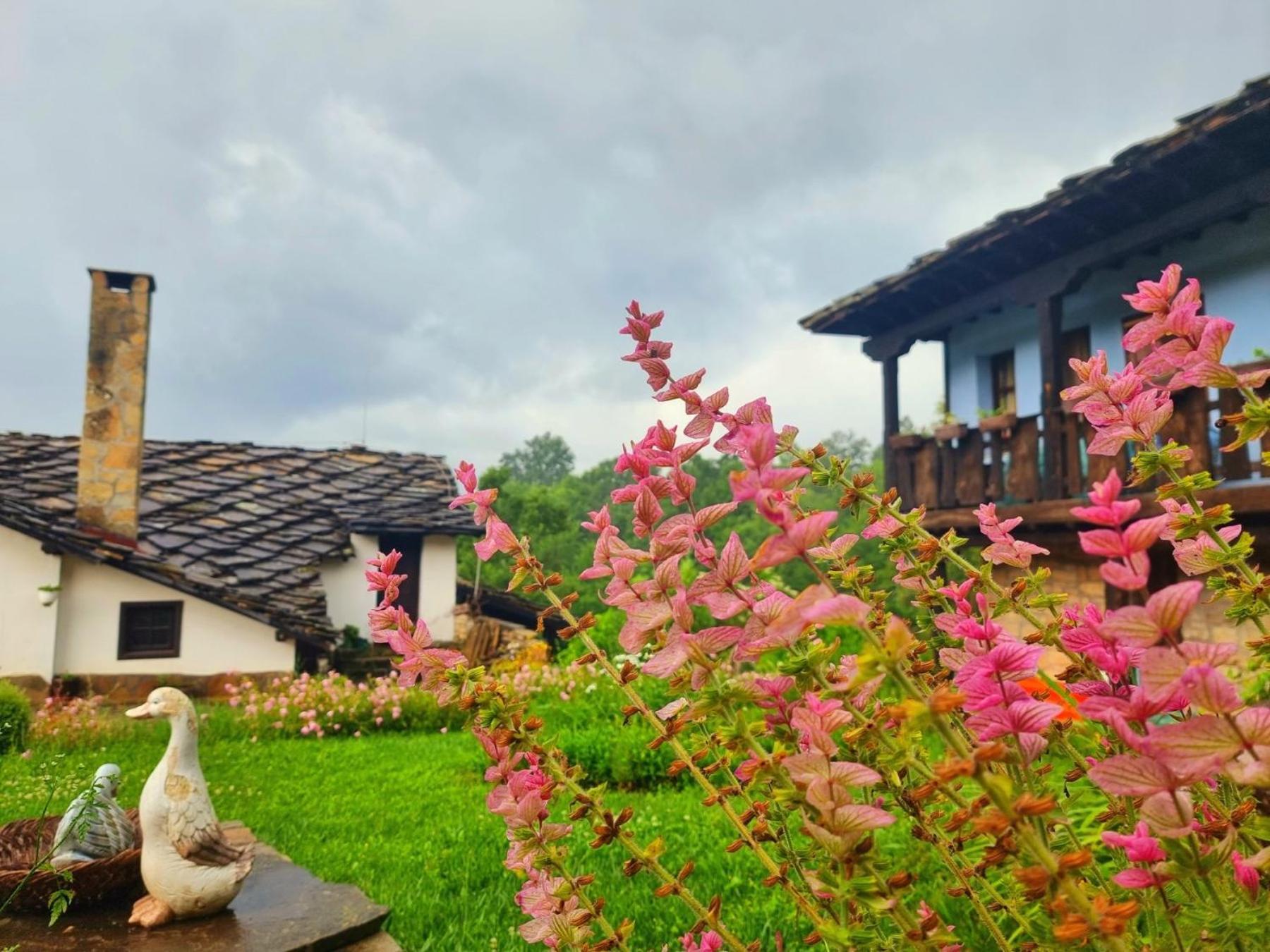 Agriturismo Hidden Paradise Βίλα Τριάβνα Εξωτερικό φωτογραφία