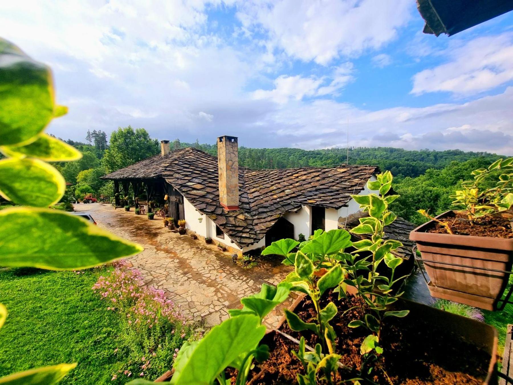 Agriturismo Hidden Paradise Βίλα Τριάβνα Εξωτερικό φωτογραφία