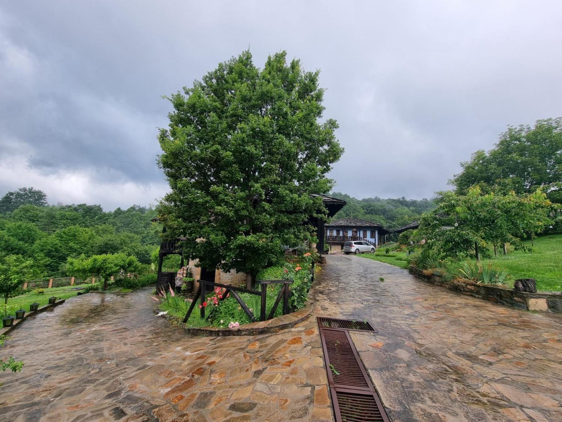 Agriturismo Hidden Paradise Βίλα Τριάβνα Εξωτερικό φωτογραφία