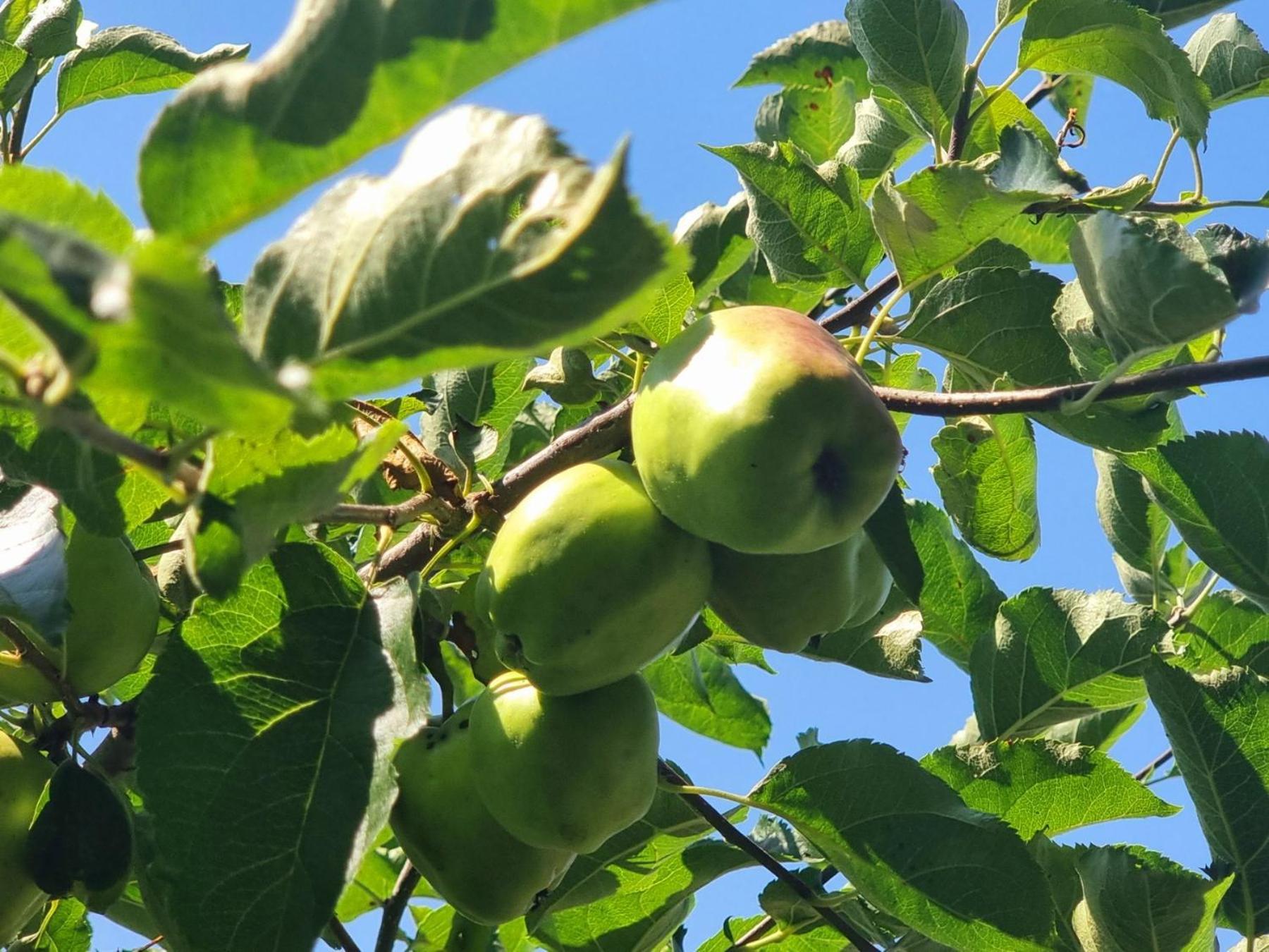 Agriturismo Hidden Paradise Βίλα Τριάβνα Εξωτερικό φωτογραφία
