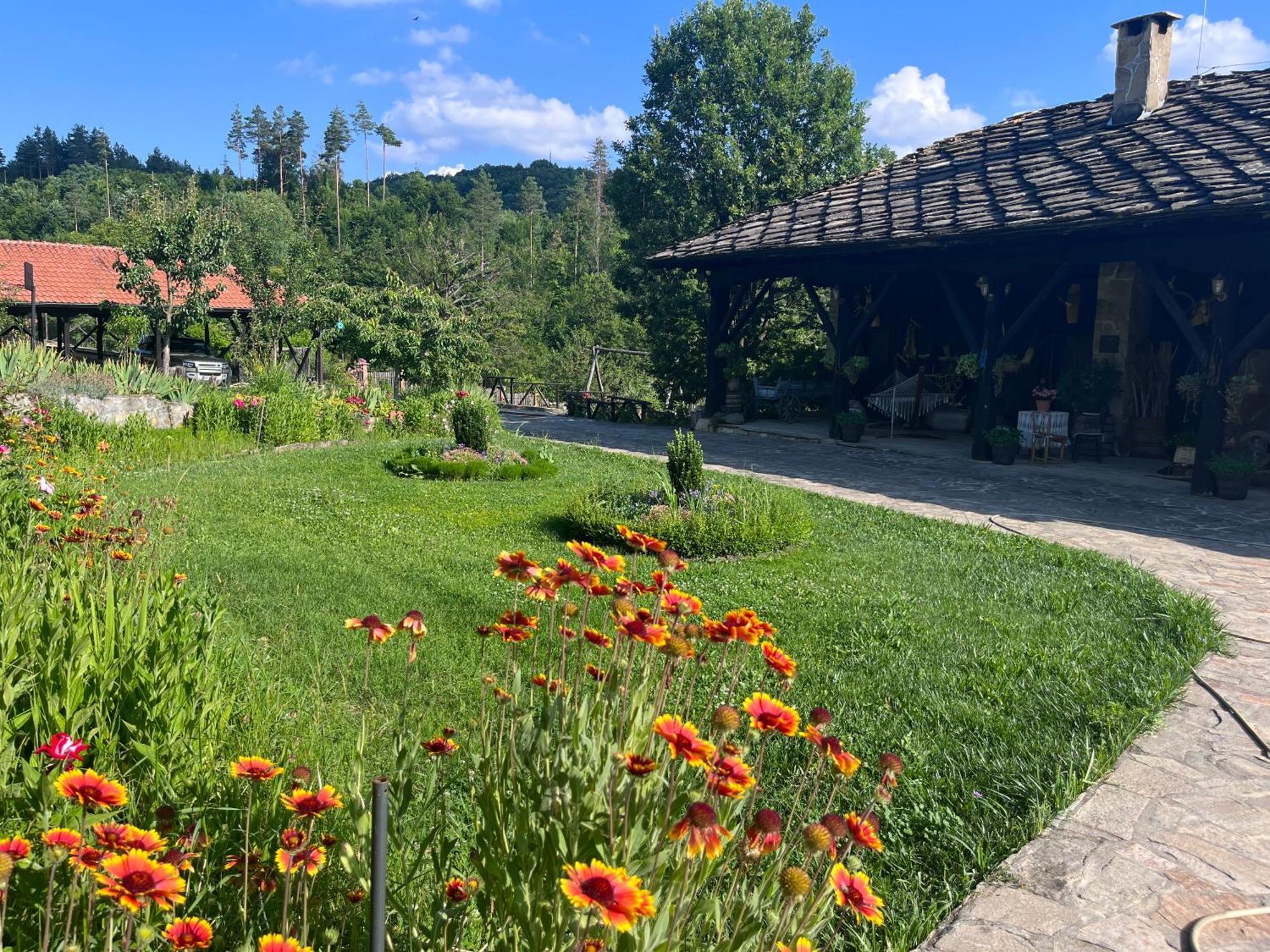 Agriturismo Hidden Paradise Βίλα Τριάβνα Εξωτερικό φωτογραφία
